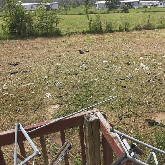 Meet your Posher, Steve - Picture 4 of 7